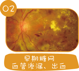 202405270953021028.Png